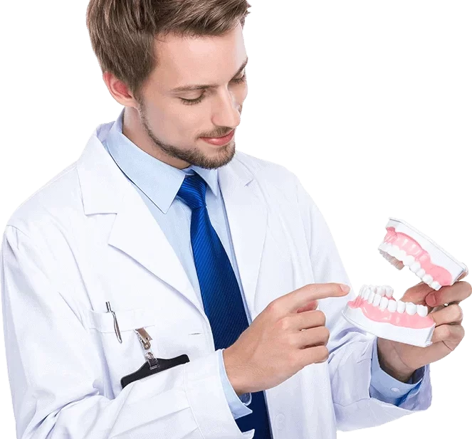 dr web design e1733567121976